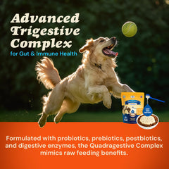 Arffredo: ingredientes naturales de primera para perros