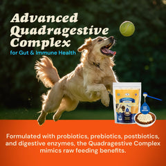 CLEAR CONSCIENCE PET Bon A’ La Goat, Apoya articulaciones y movilidad con BTC.