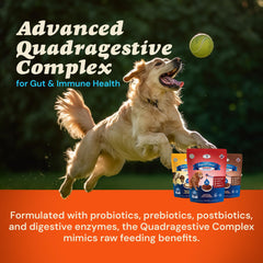 CLEAR CONSCIENCE PET hidratacion-brodo: mezcla para hidratar la comida y mejorar la consistencia