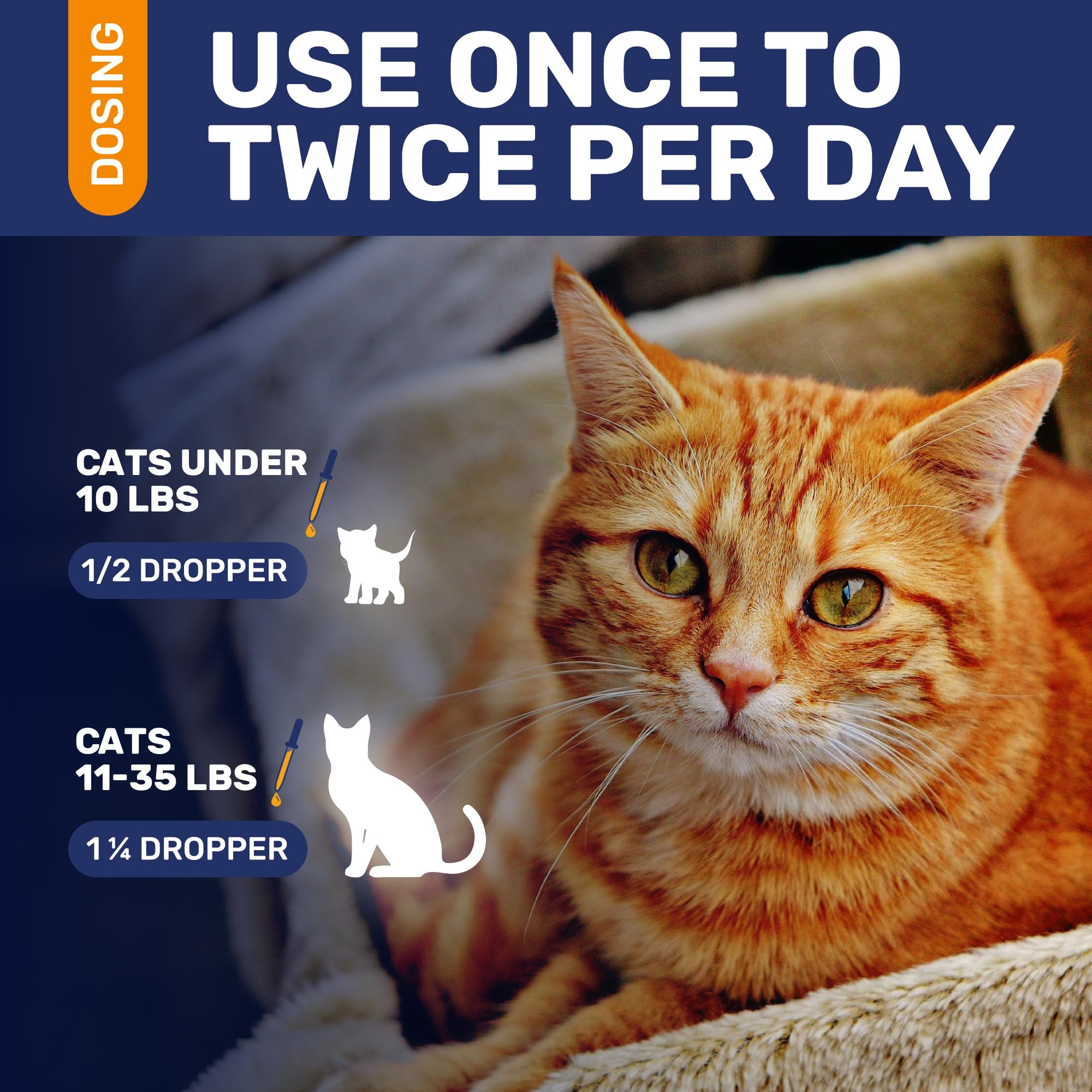 Clear Max antibióticos para gatos, apoyo a caderas y articulaciones.