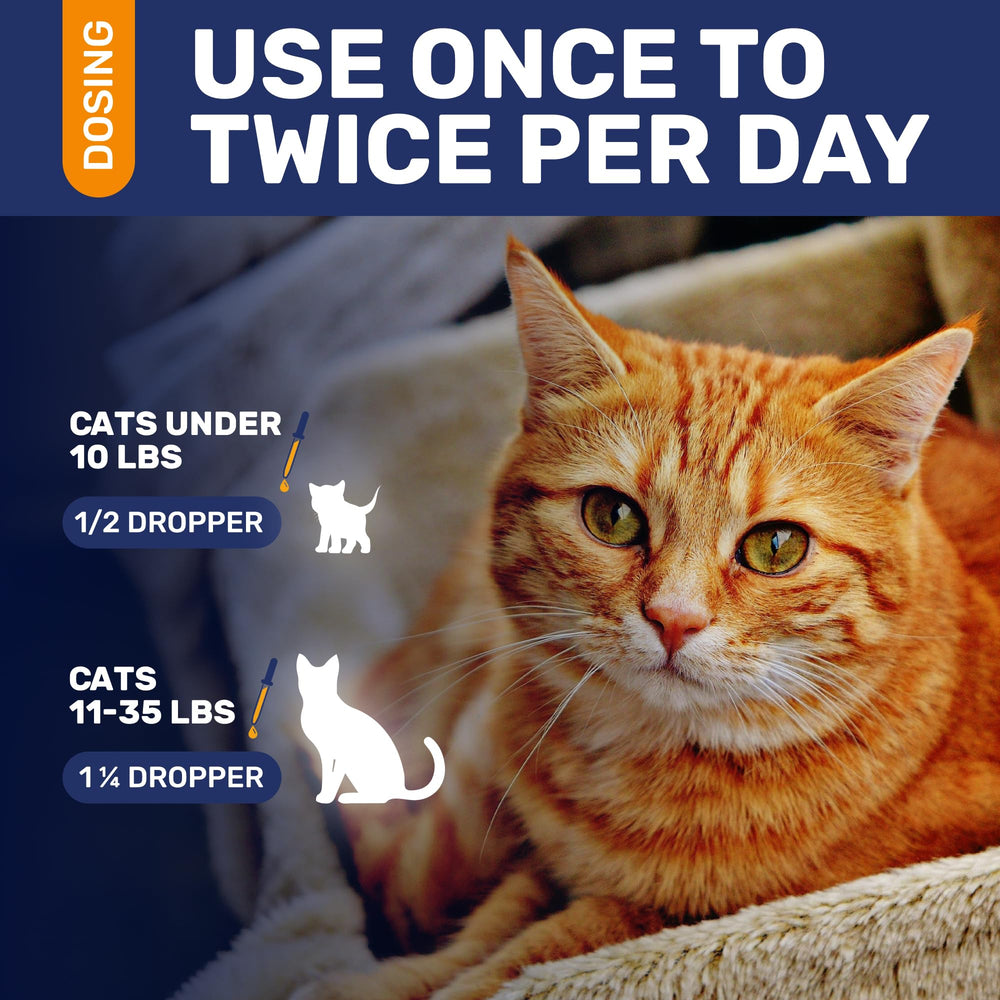 Clear Max antibióticos para gatos, apoyo a caderas y articulaciones.