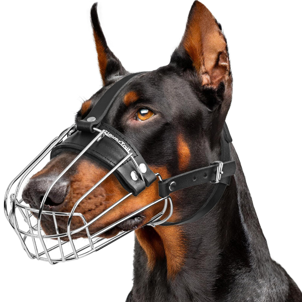 Bozal metálico CleverTail para doberman, vista frontal, opción segura para paseos