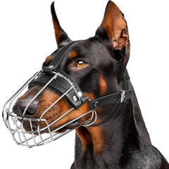Bozal metálico CleverTail para doberman, vista frontal, opción segura para paseos