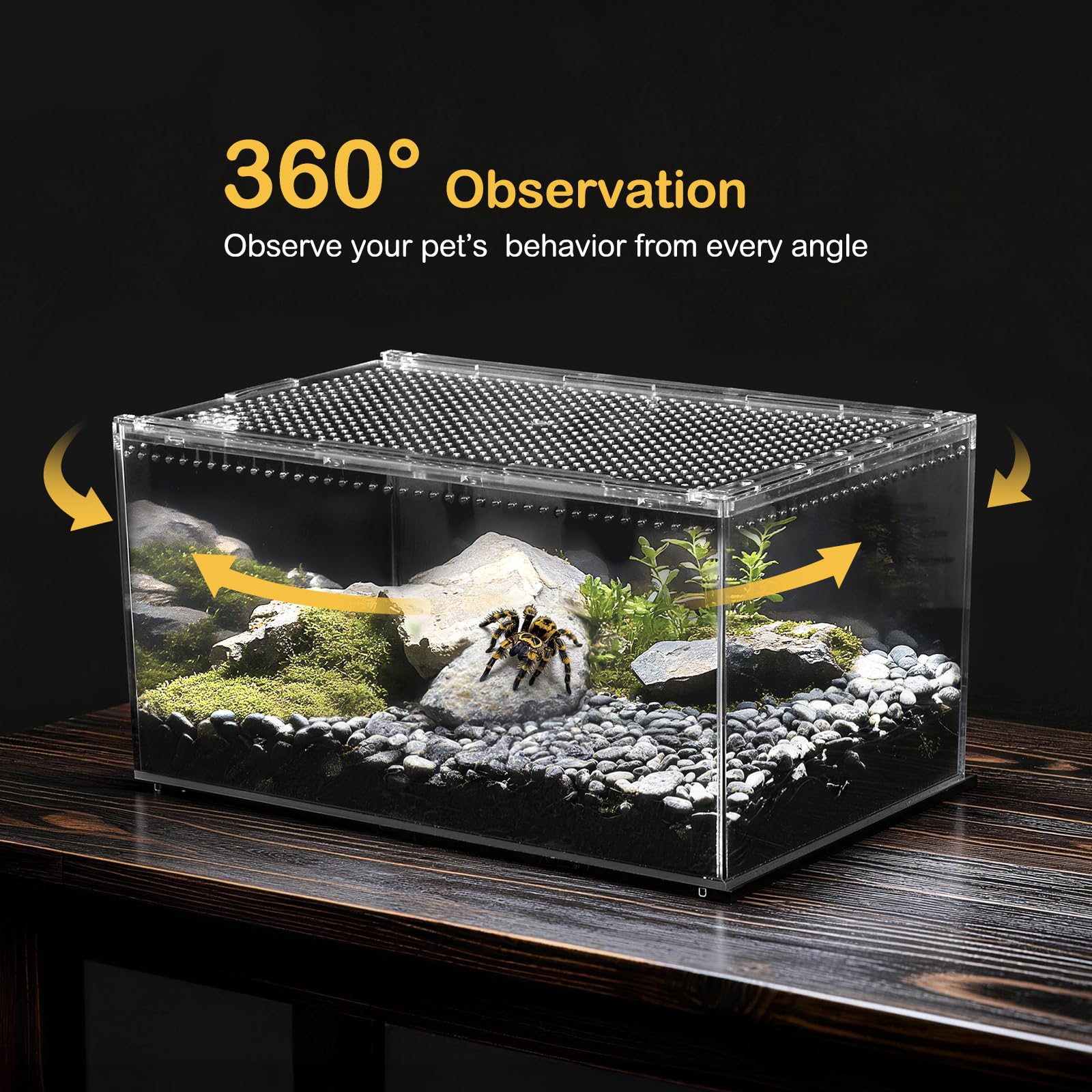 Clioran Terrario PC resistente a roturas, ideal para geckos y tarántulas.