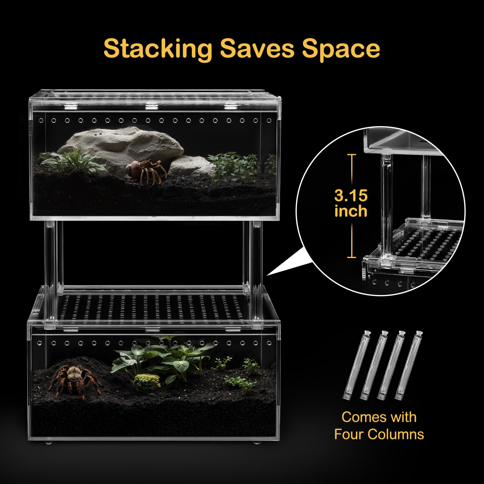 Clioran terrario de policarbonato con visión 360, observación clara