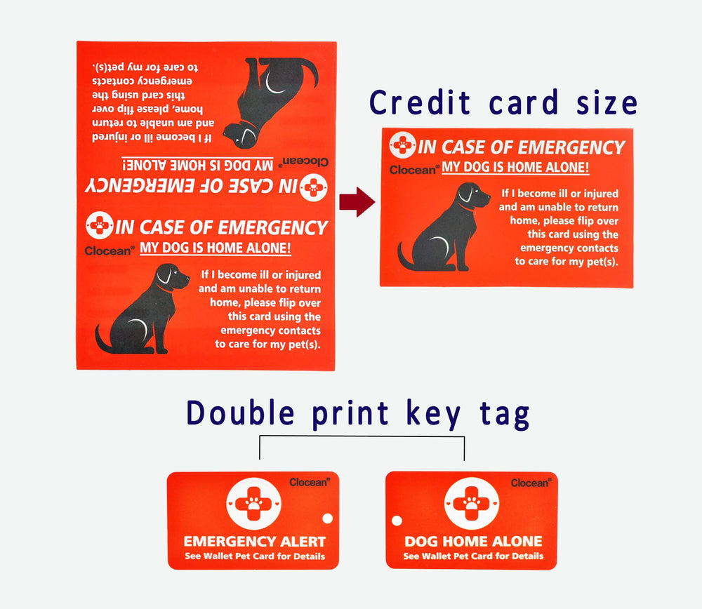 Clocean conjunto tres tarjetas emergencia perro, formato compacto y segura para guardar.