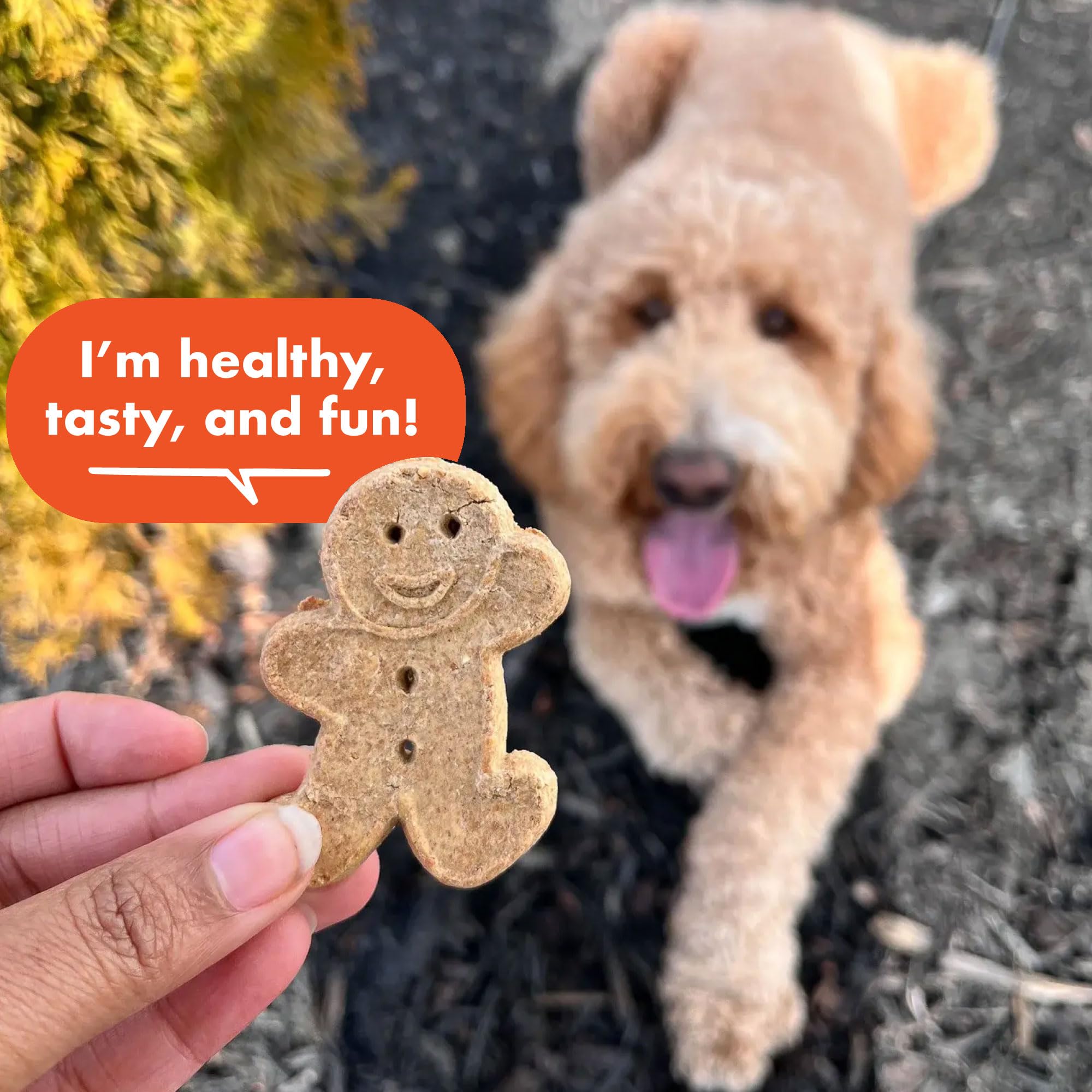 Buddy Biscuits: nueve ingredientes simples para sabor auténtico.
