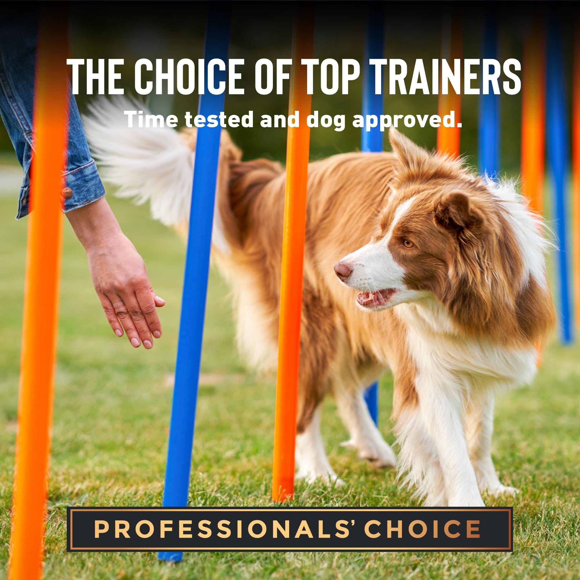 Cloud Star Tricky Trainers, etiqueta nutricional clara para planificar premios sin exceso.