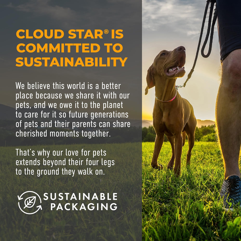 Cloud Star Tricky Trainers ideal para sesiones largas de entrenamiento.