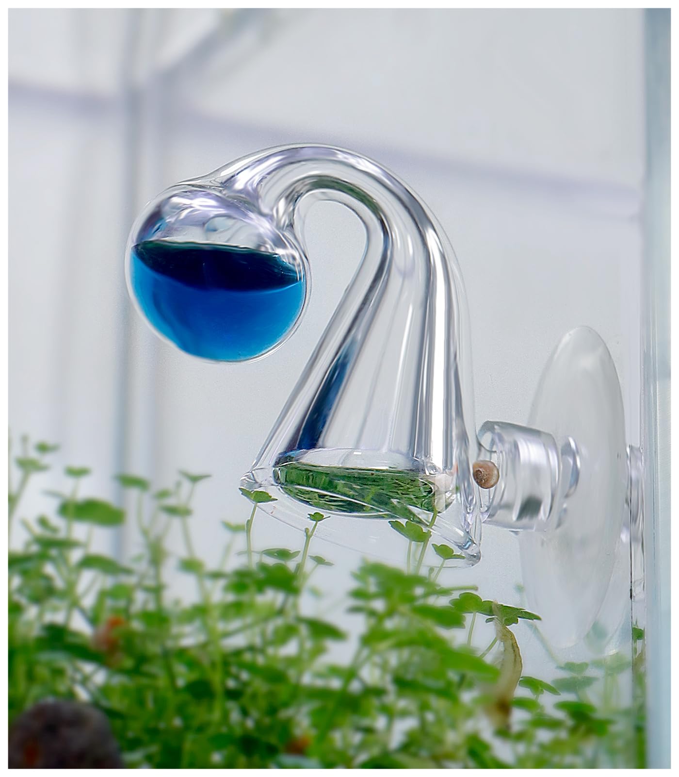 Verificador de CO2 de vidrio en pecera, diseño decorativo y funcional.