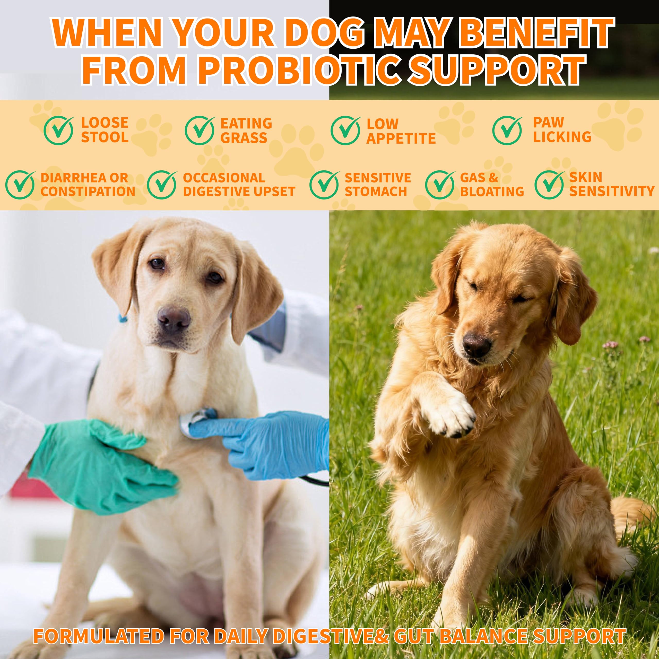 CnidoPetteri envase de probióticos para perros, dosificación diaria de apoyo digestivo.