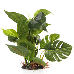 CNZ planta para acuario con hojas verdes decorativas que crea refugio natural.