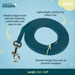 Coachi línea-entrenamiento-cachorros dirigir hábitos positivos durante juegos