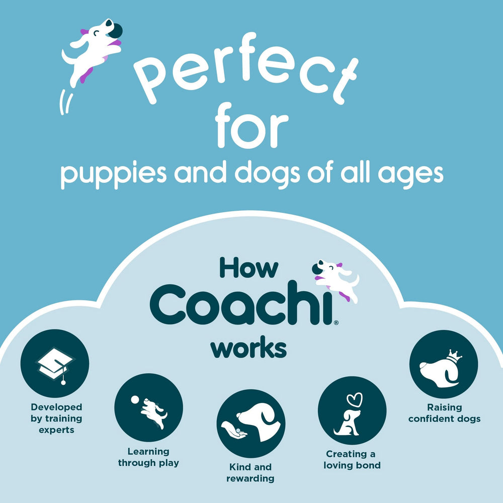 Coachi Tuggi Hide — jouet avec couineur pour stimuler l’interaction