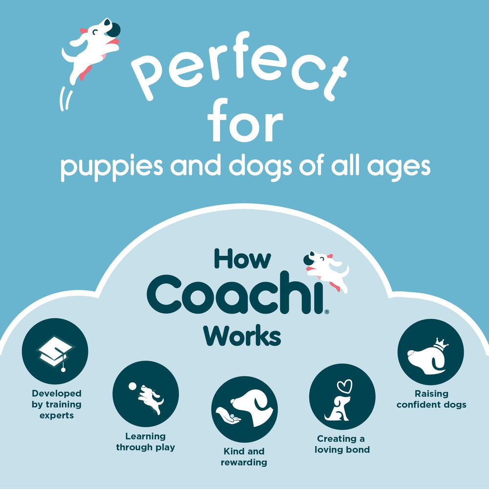 Coachi Whizzclick diseno navy con boton azul claro.