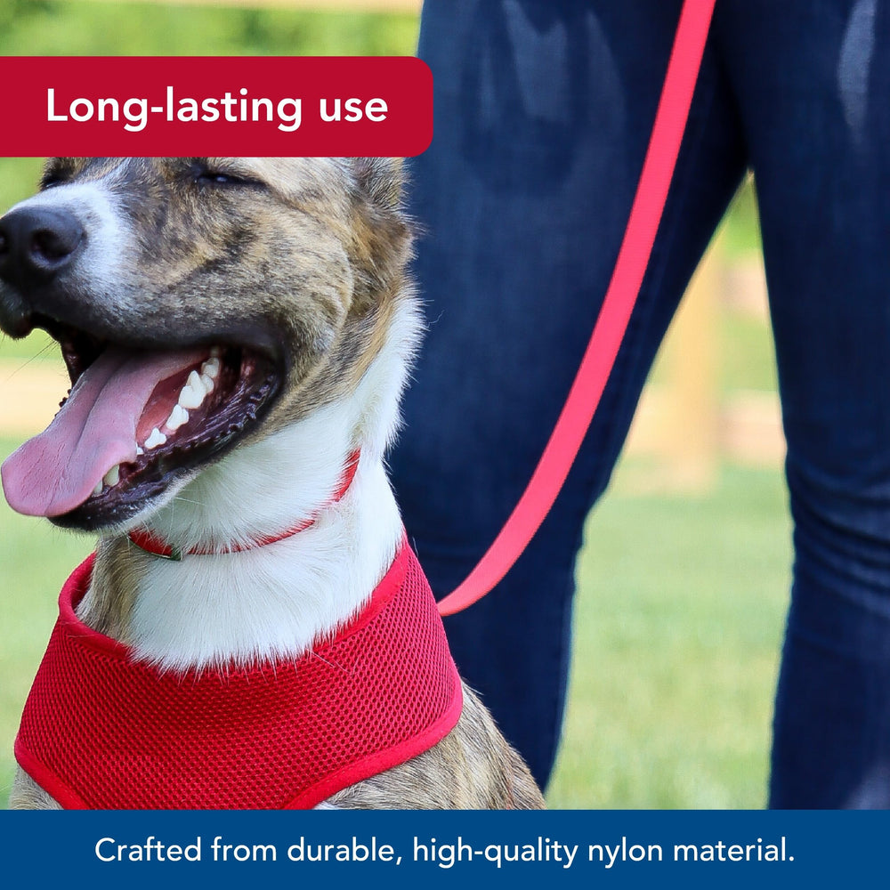 Coastal Pet correa con control óptimo para paseos tranquilos y seguros.