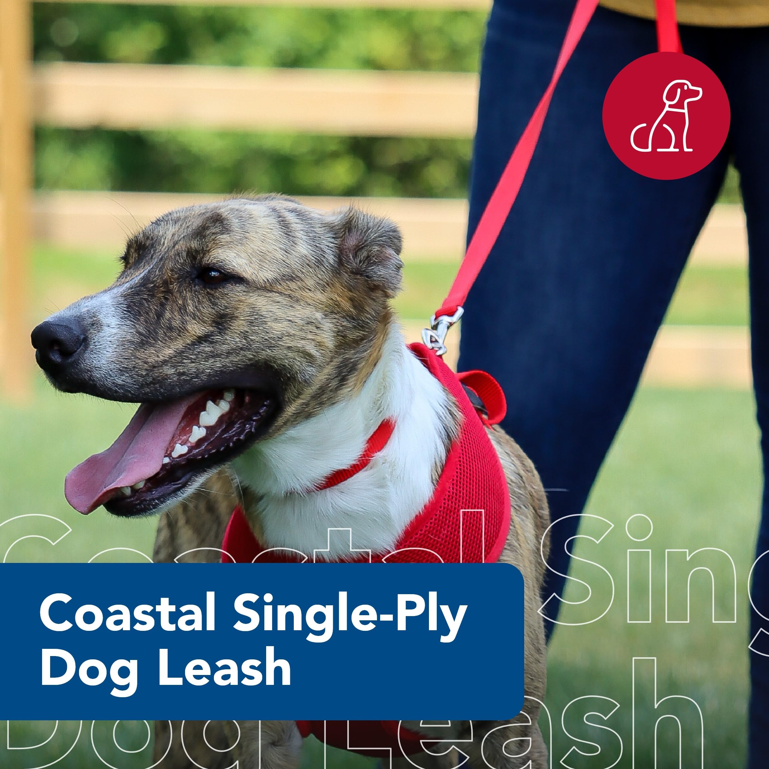 Coastal Pet correa nylon resistente, ideal para perros activos durante salidas al parque.