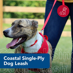 Coastal Pet correa nylon resistente, ideal para perros activos durante salidas al parque.