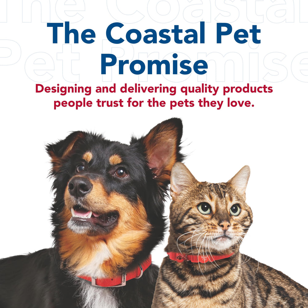 Coastal Pet correa para uso diario, duradera y segura.