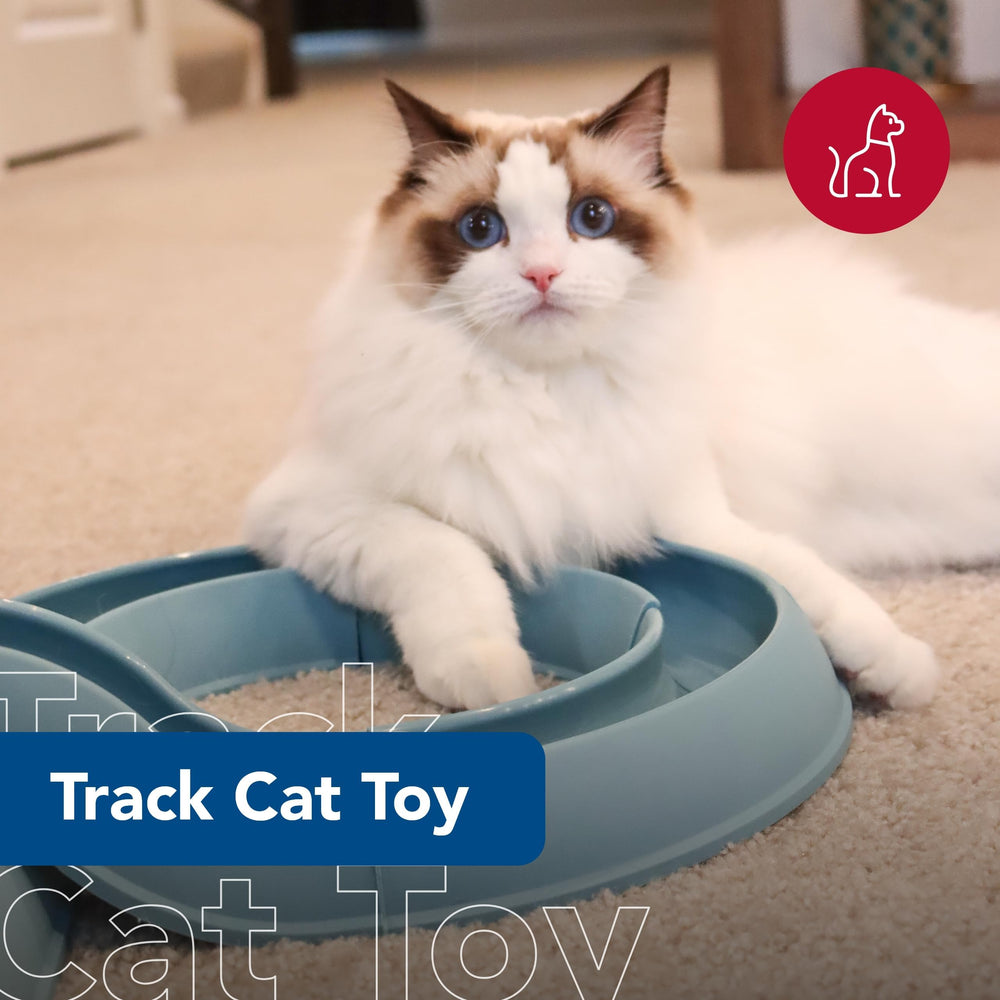 Coastal Pet Turbo Track: piezas-ensamble-facil, montaje rápido para jugar sin complicaciones.