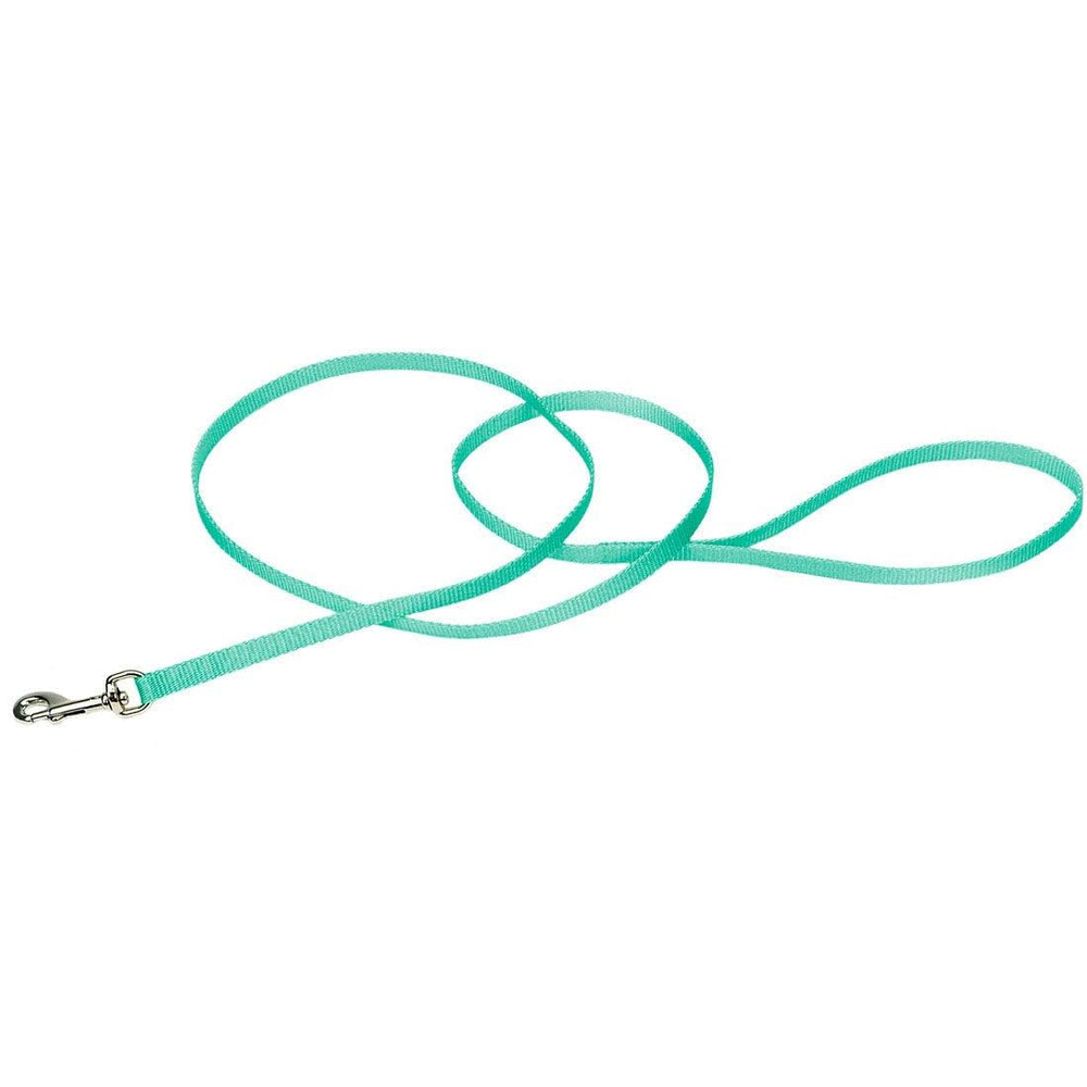 Coastal Pet correa teal, vista frontal para control cómodo en paseos