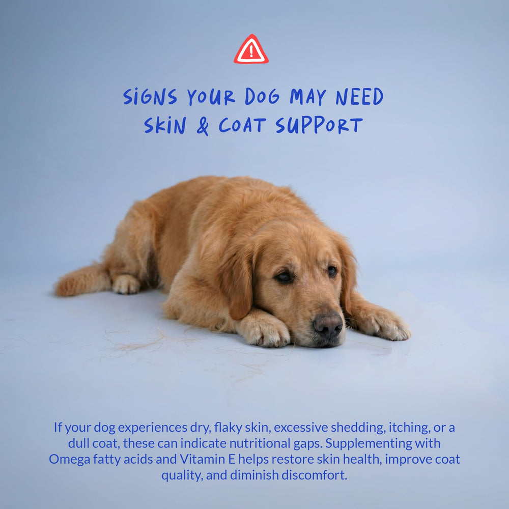Coco y Luna Omega3 para perros, ayuda contra alergias estacionales.