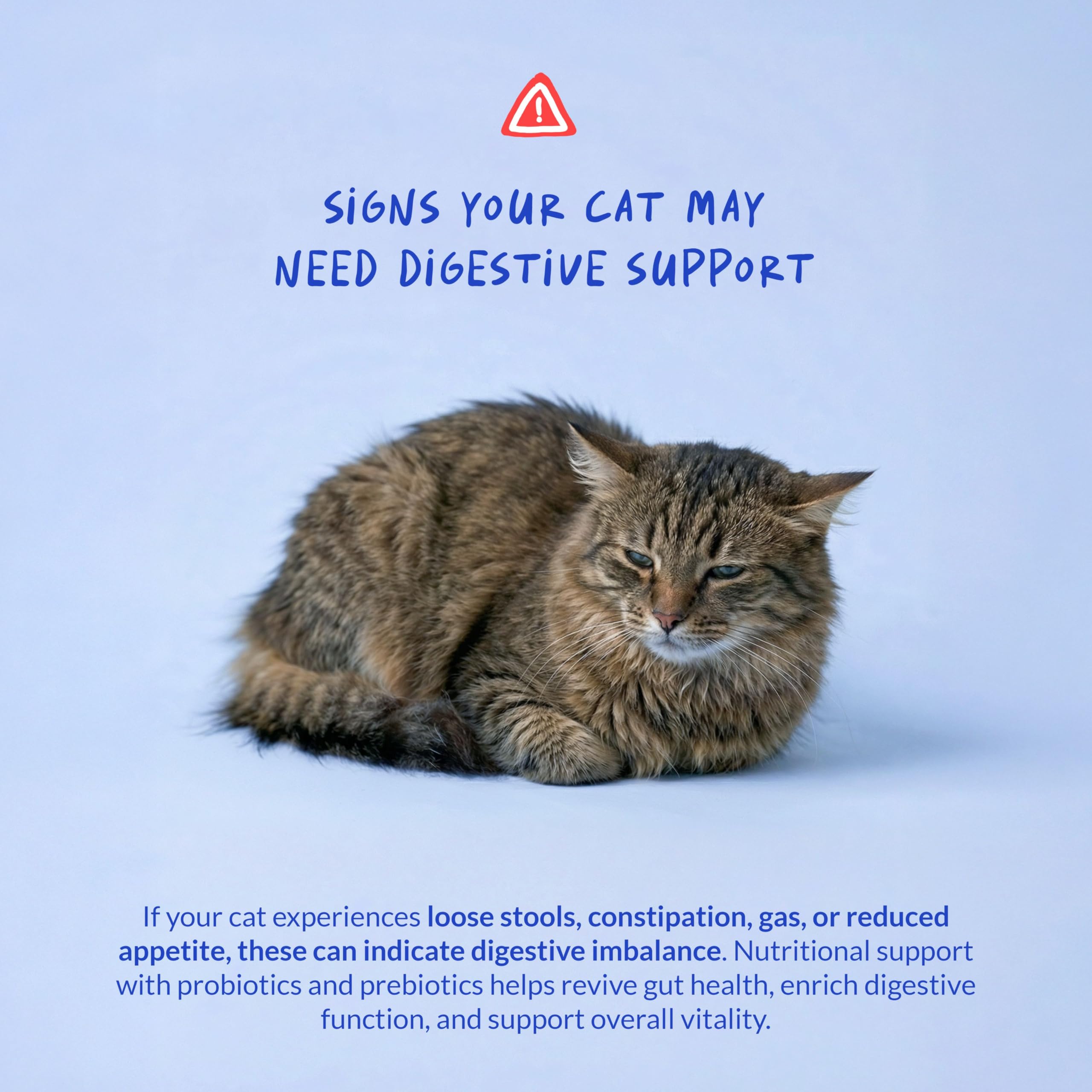 coco y luna asimilación nutrientes gatos polvo