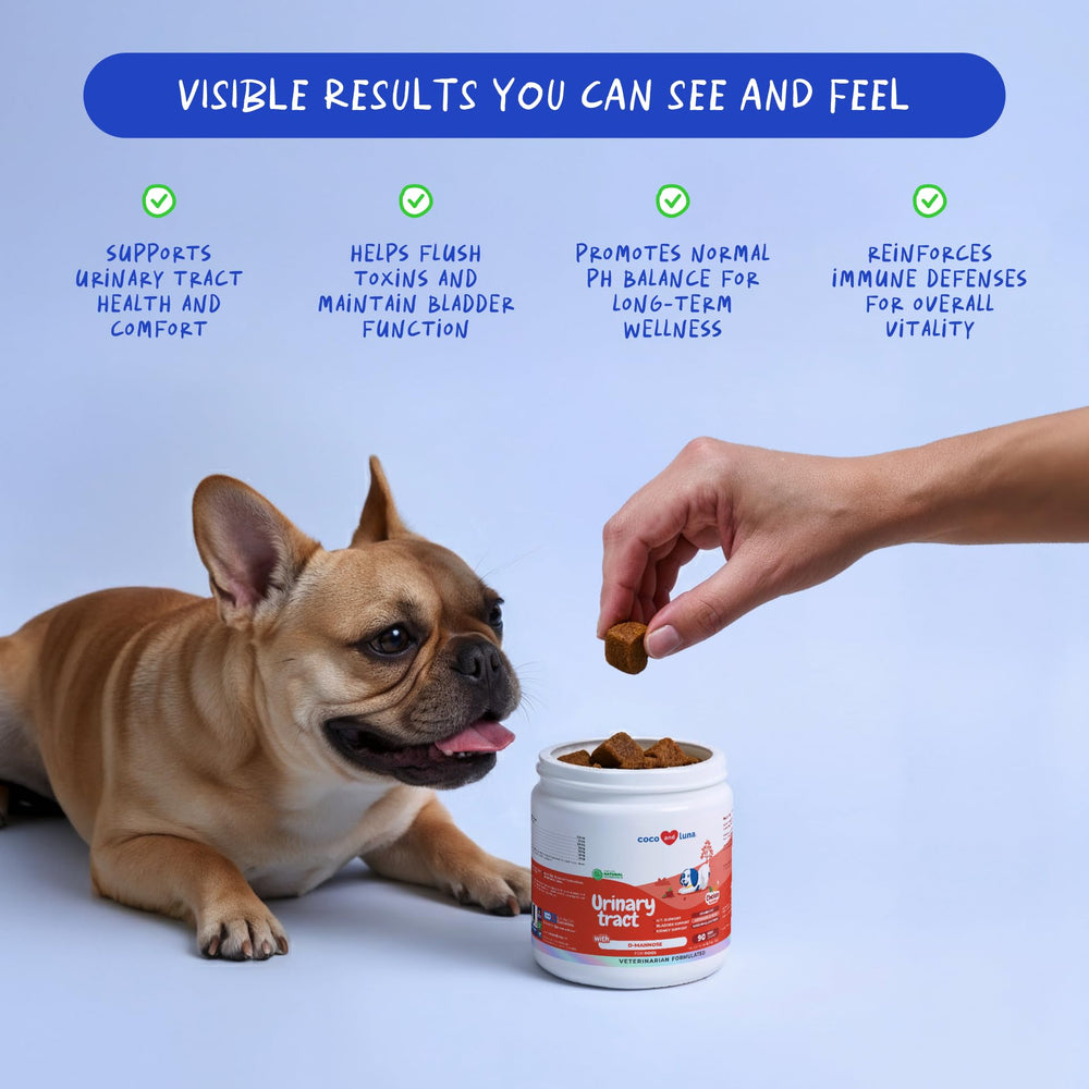Coco y Luna Cranberry para perros: en cuenco, snack diario listo para servir
