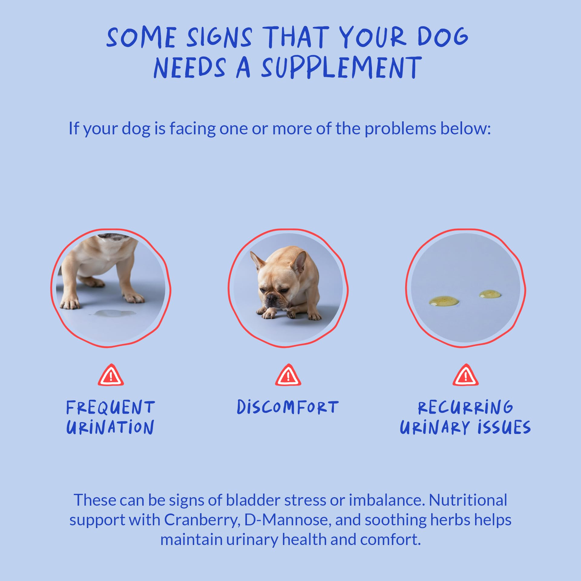 Coco y Luna Cranberry para perros: uso diario para apoyar hábitos saludables