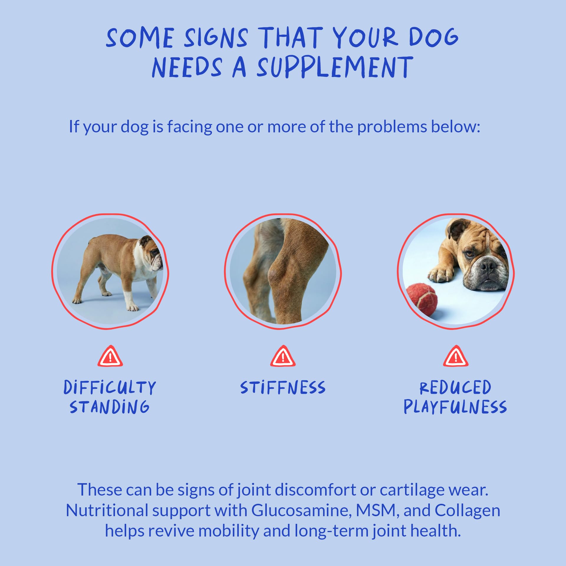 Coco y Luna: ingredientes naturales que apoyan la movilidad diaria de tu perro.