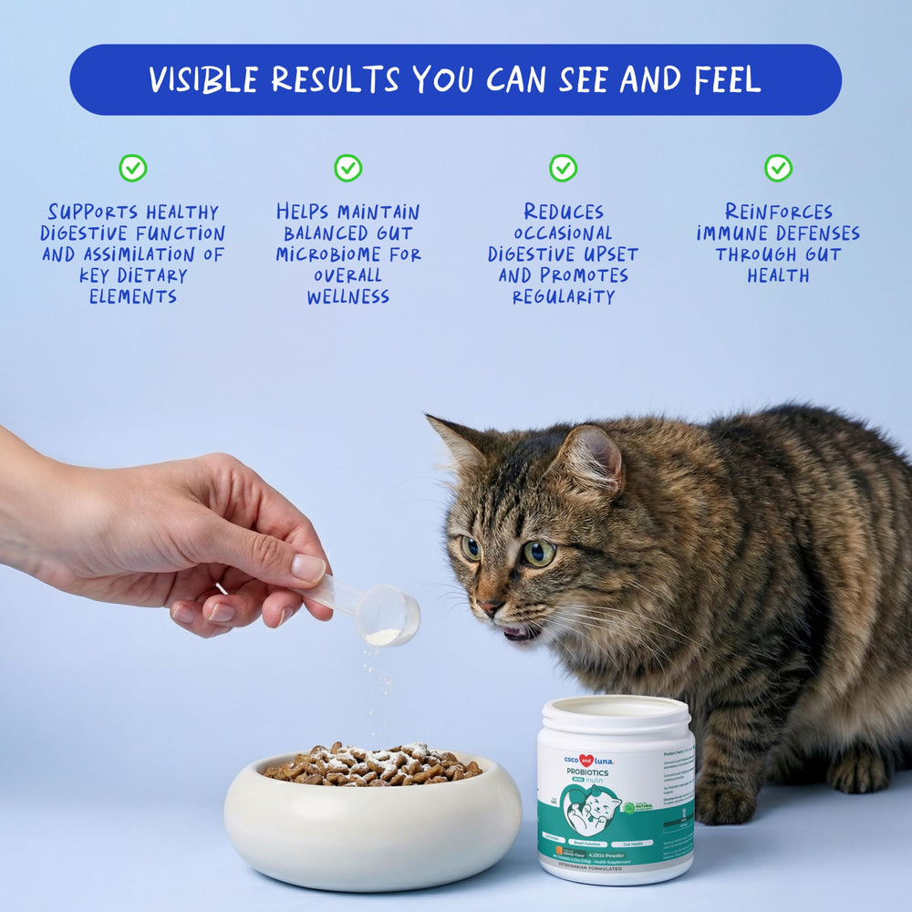 coco y luna inulina prebióticos gatos polvo favorece bacterias beneficiosas