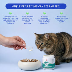 coco y luna inulina prebióticos gatos polvo favorece bacterias beneficiosas