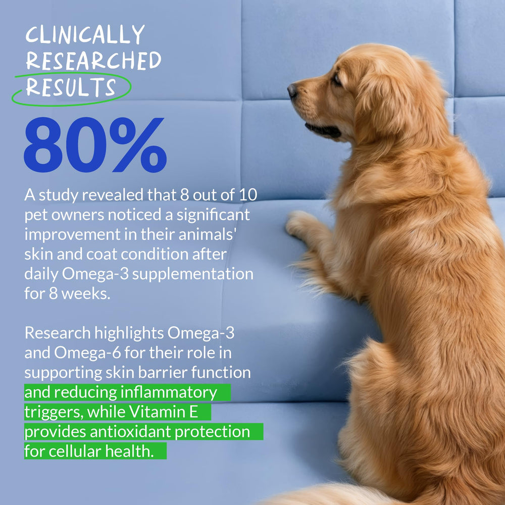 Coco y Luna Omega3 para perros, piel sana y humedad adecuada.