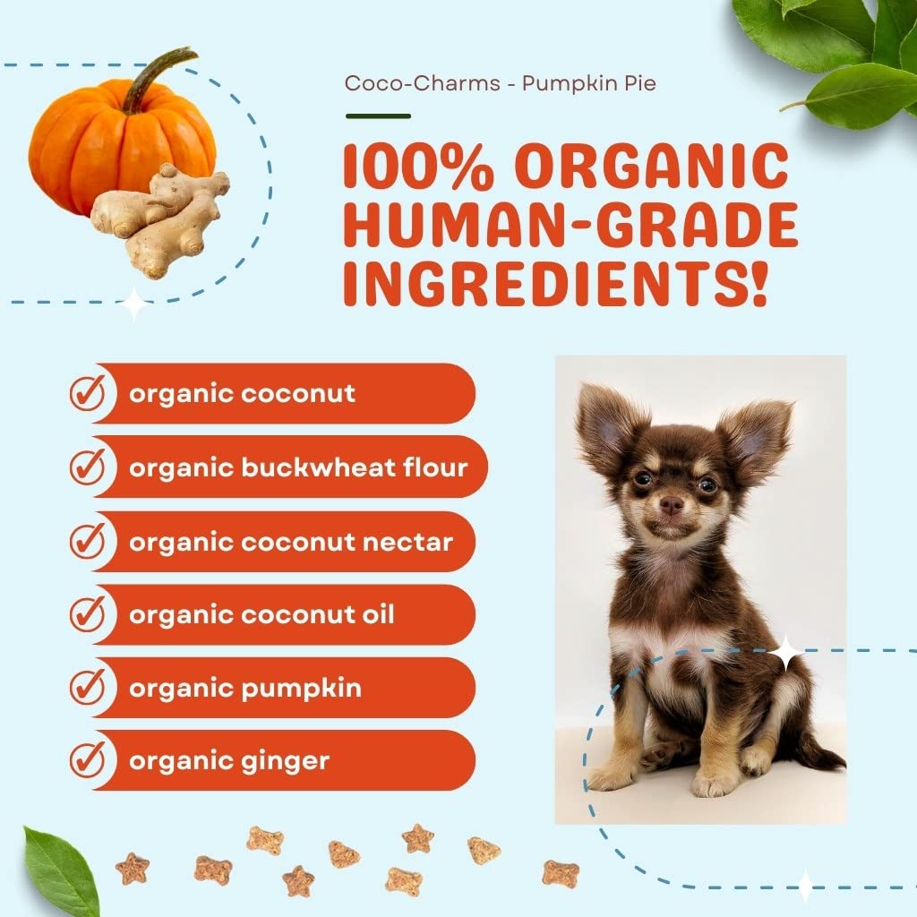 Premios con calabaza y jengibre orgánicos, para gusto natural y digestión suave.
