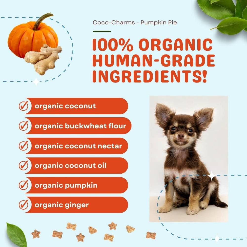 Premios con calabaza y jengibre orgánicos, para gusto natural y digestión suave.