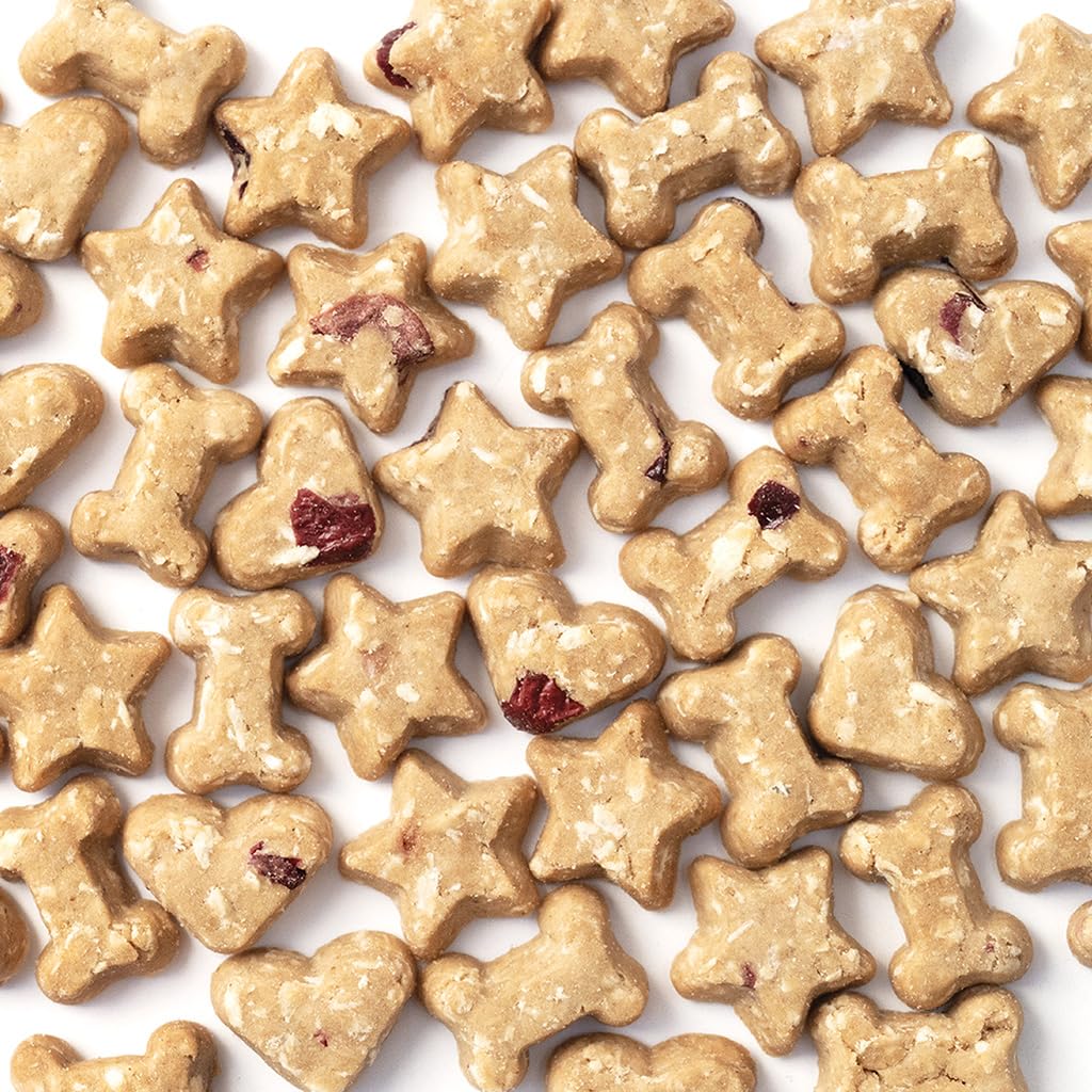 CocoTherapy: ingredientes orgánicos y libres de organismos modificados para perros sensibles