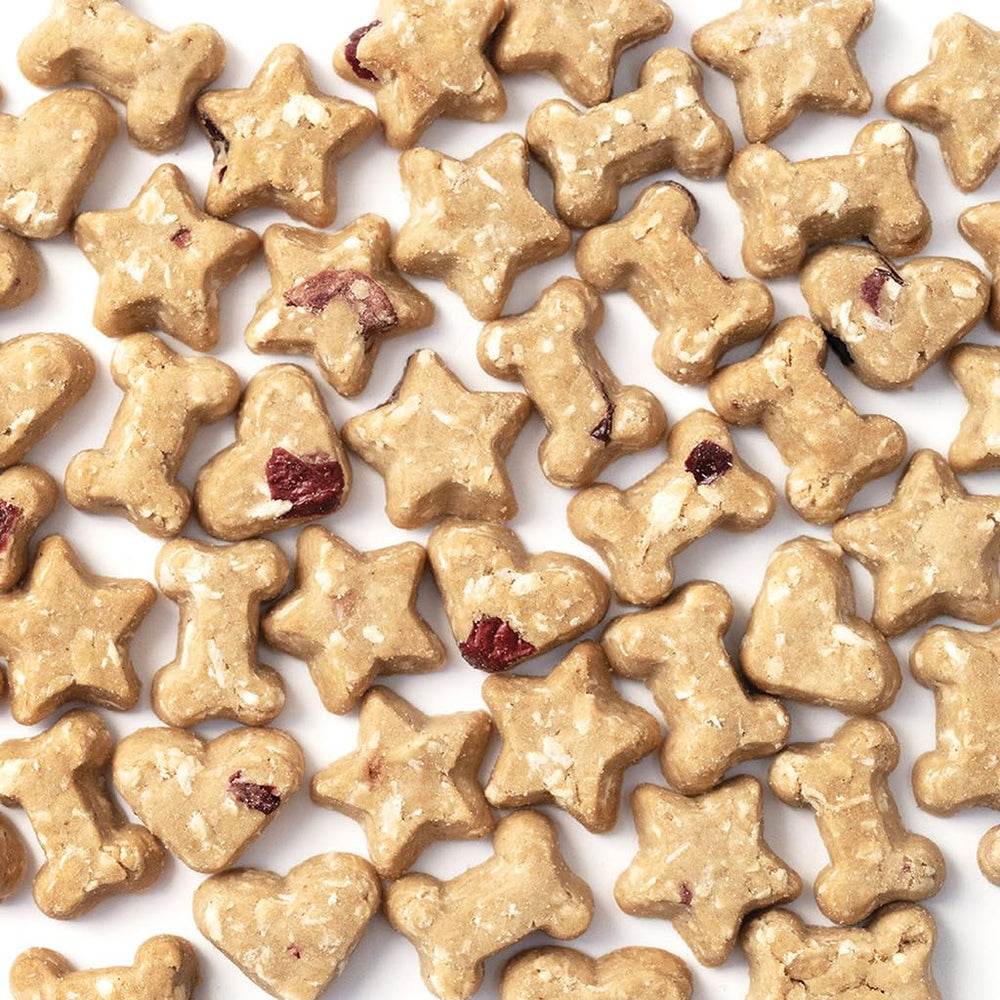 CocoTherapy: ingredientes orgánicos y libres de organismos modificados para perros sensibles