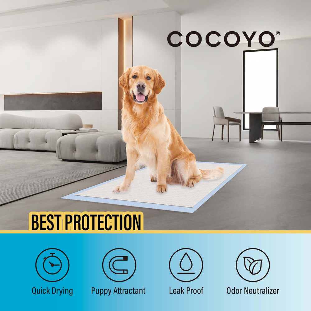 COCOYO almohadillas 5-capas: capa interior atrae y protege contra manchas.
