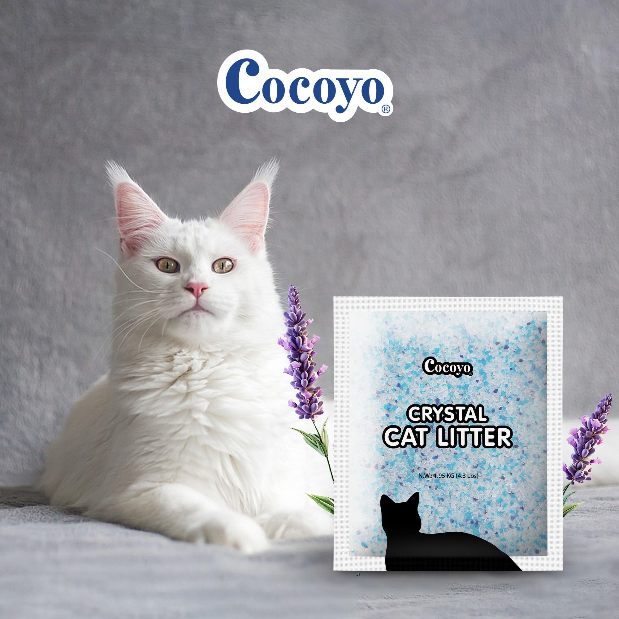 COCOYO arena de gatos con lavanda facilita la limpieza y reduce olores.