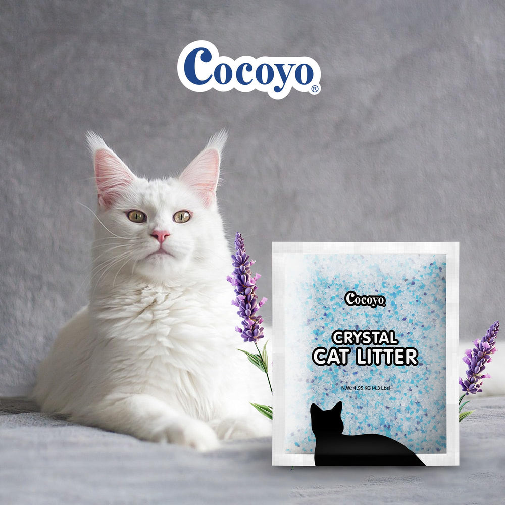 COCOYO arena de gatos con lavanda facilita la limpieza y reduce olores.