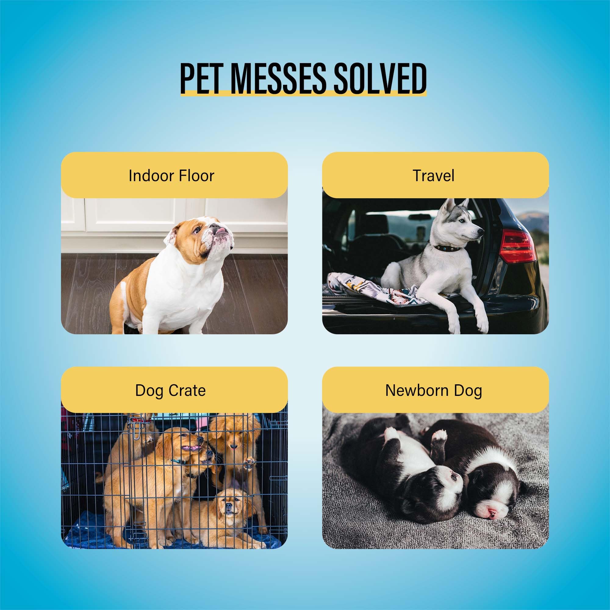 COCOYO atractivo-para-perros: atrayente para facilitar el entrenamiento