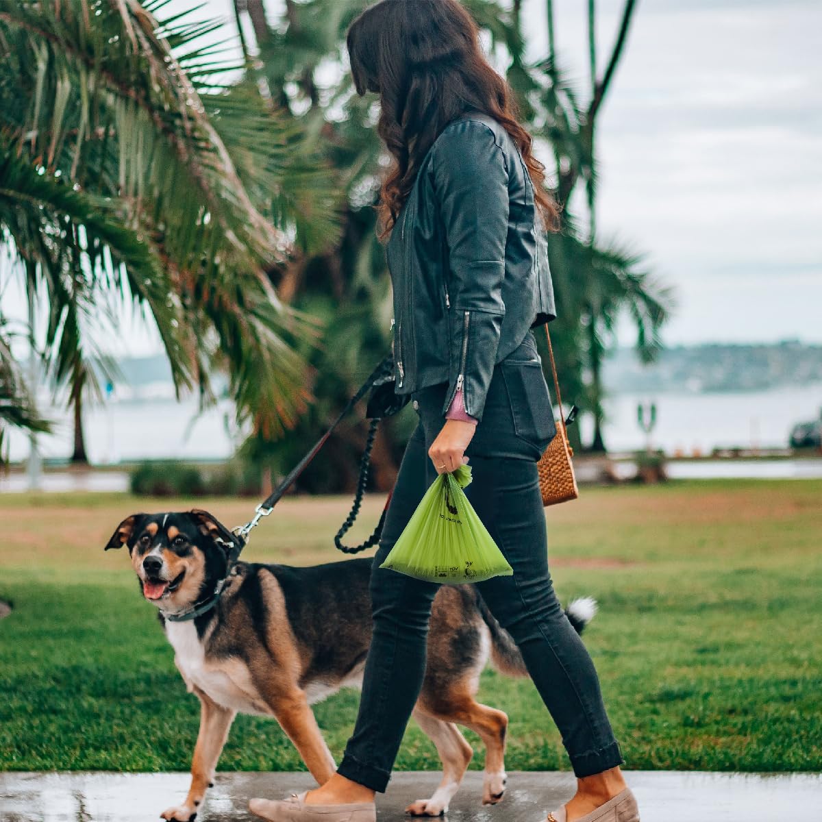 Bolsas Codirom sin aroma para paseos más agradables.