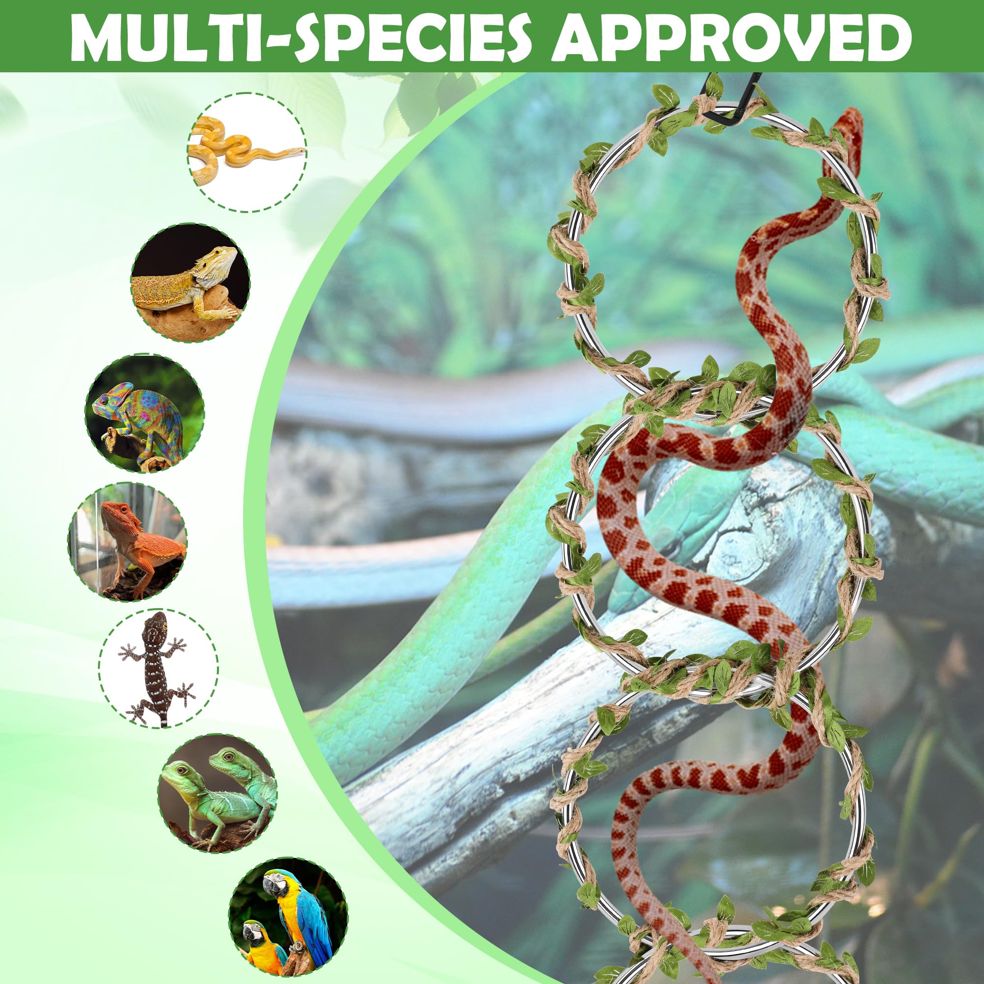 Coldairsoap: solución multiespecie para terrario versátil.
