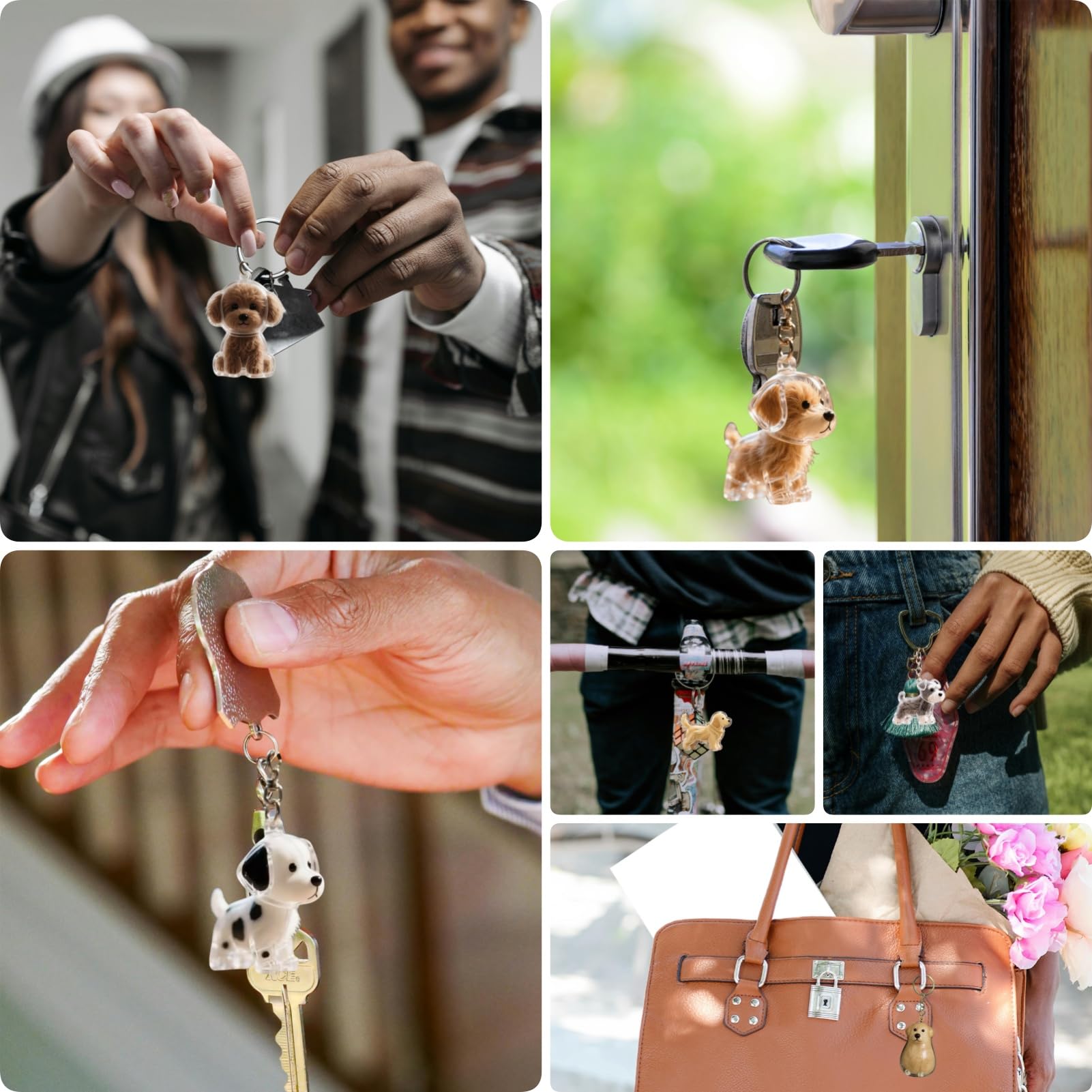 Diseño transparente permite ver el contenido con facilidad