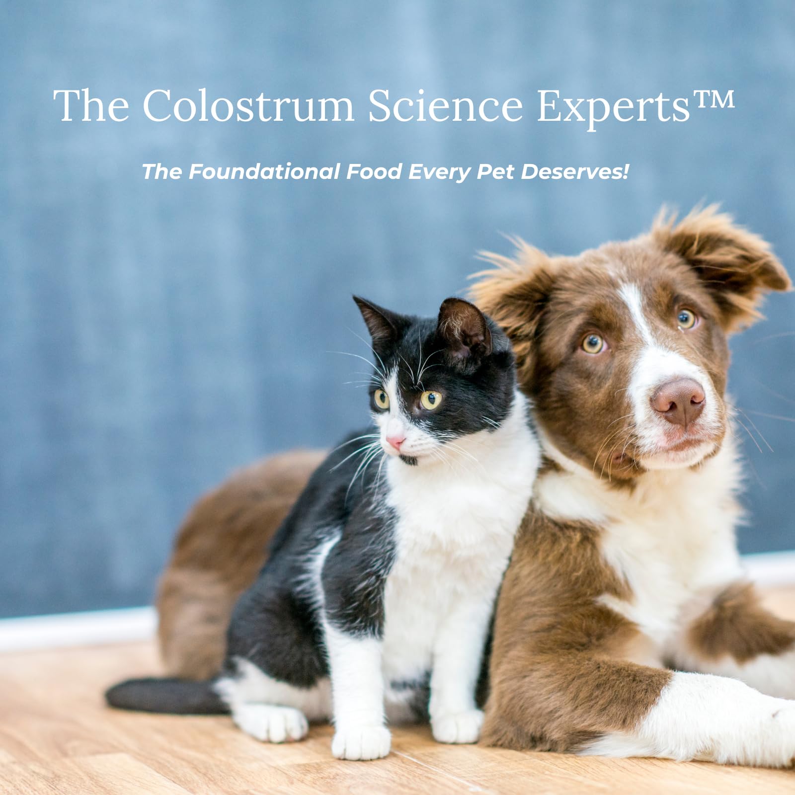 Colostrum-LD: textura cremosa para mezclar con comida.