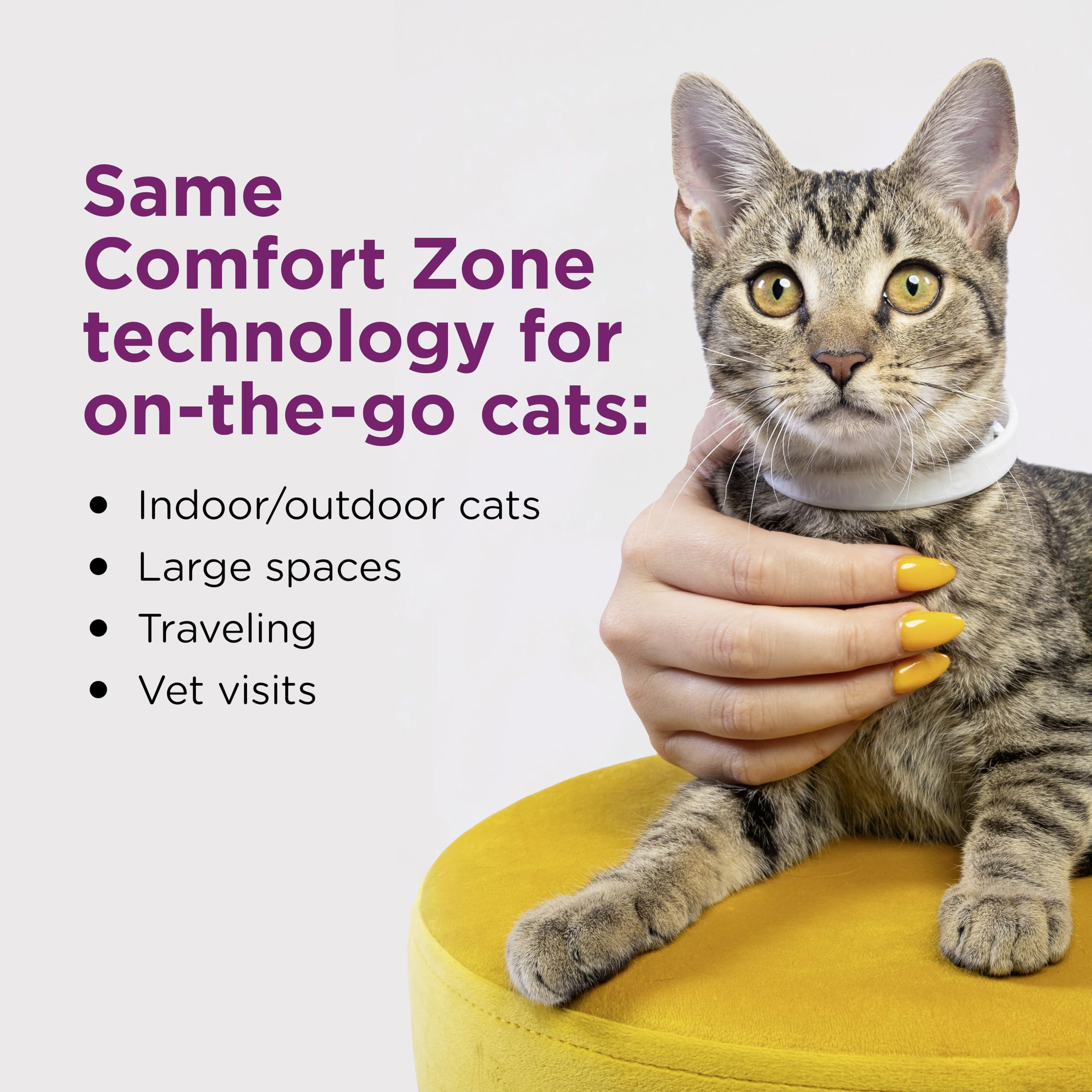 Collar calmante Comfort Zone para gatos, práctico durante viajes y cambios de rutina.