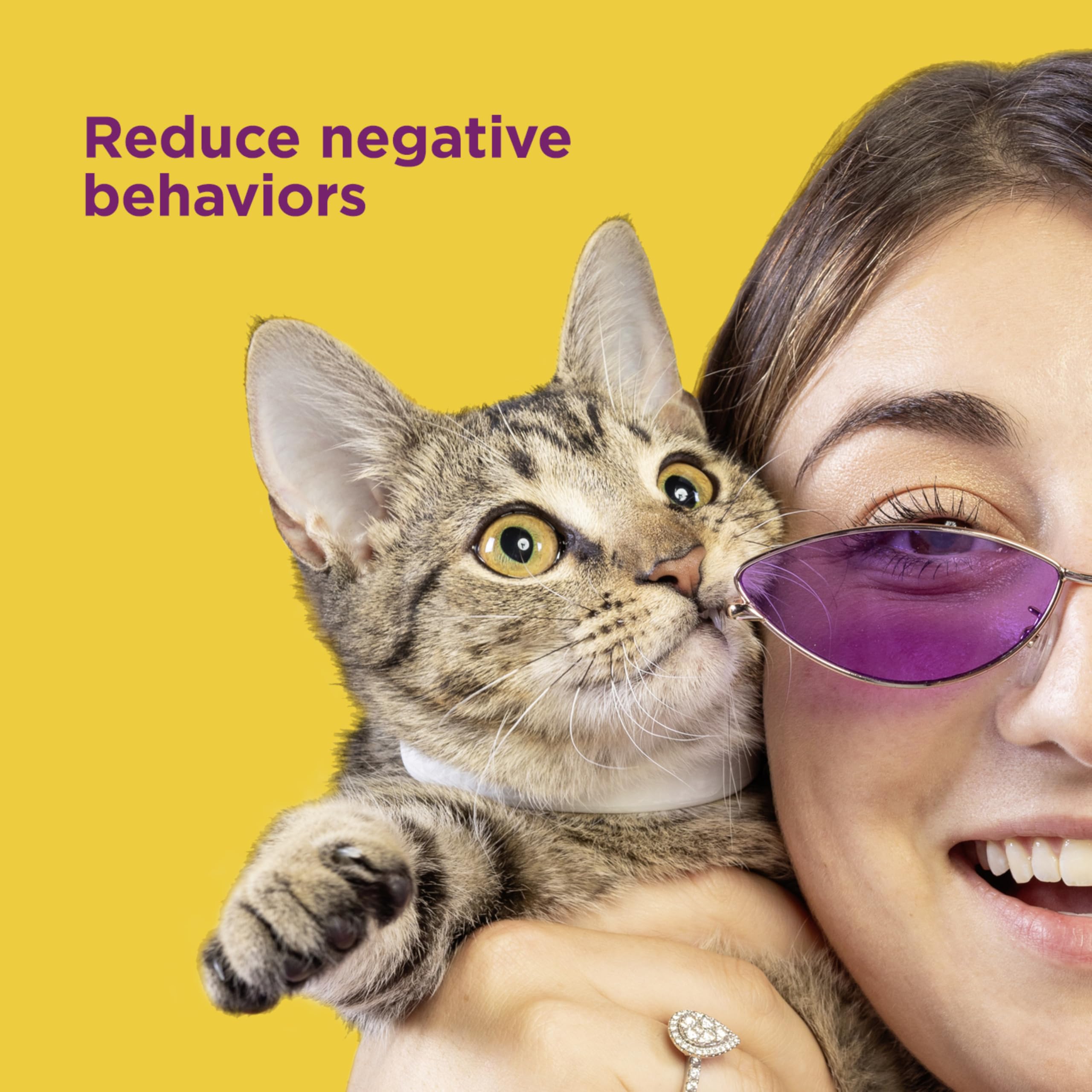 Solución sin fármacos ni fragancias para gatos