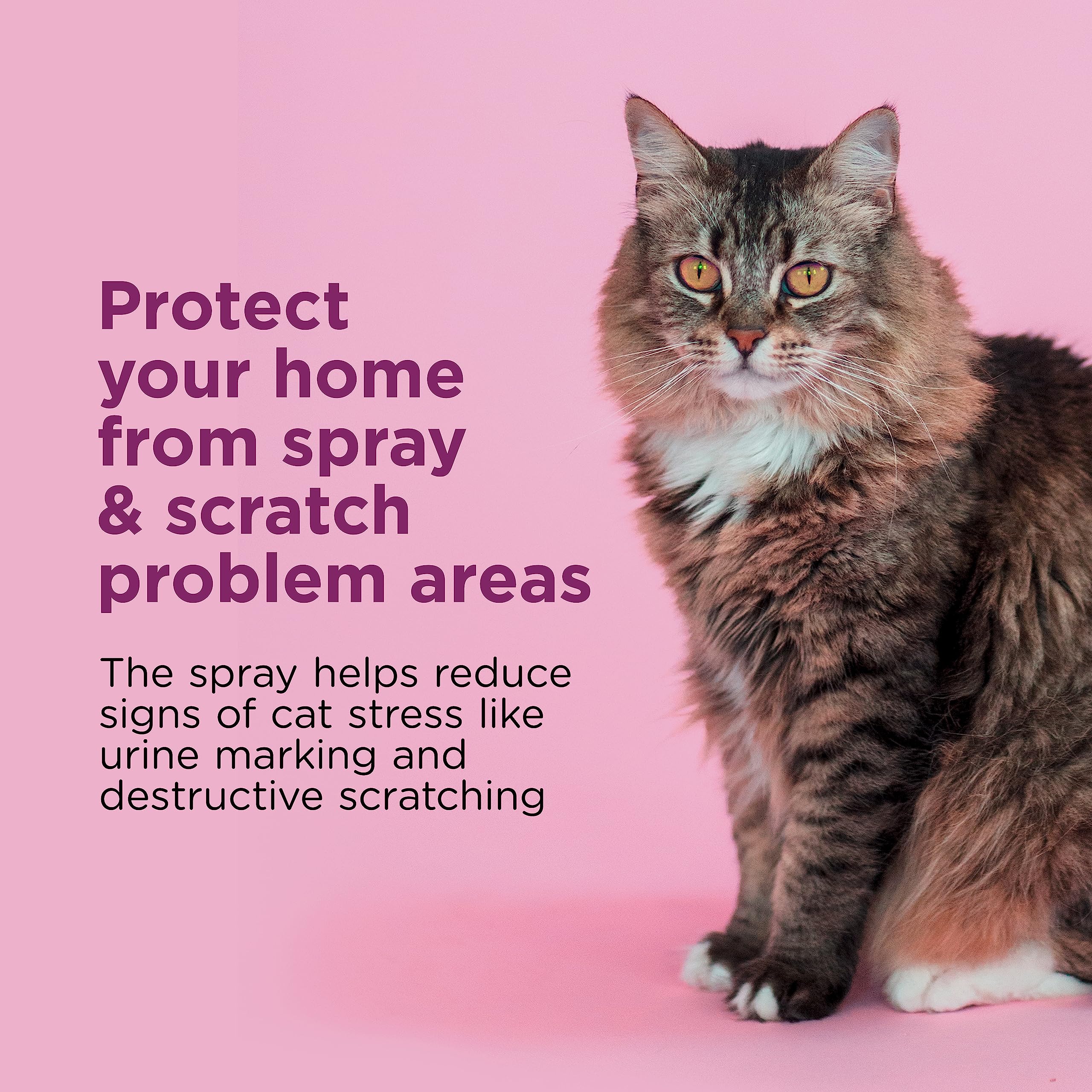 Spray Calmante Comfort Zone para gatos en interiores reduce estrés en casa.