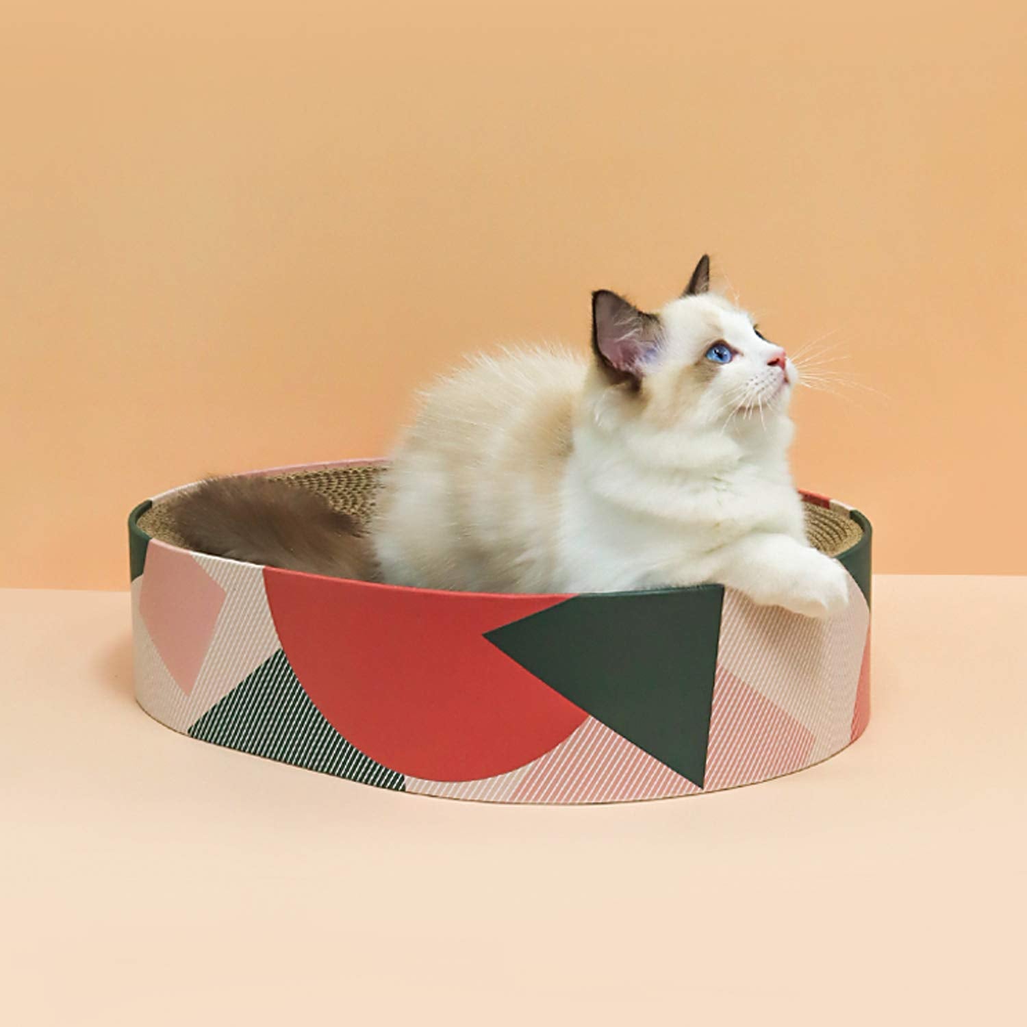 ComSaf rascador-cama para gatos, experiencia de descanso y juego.