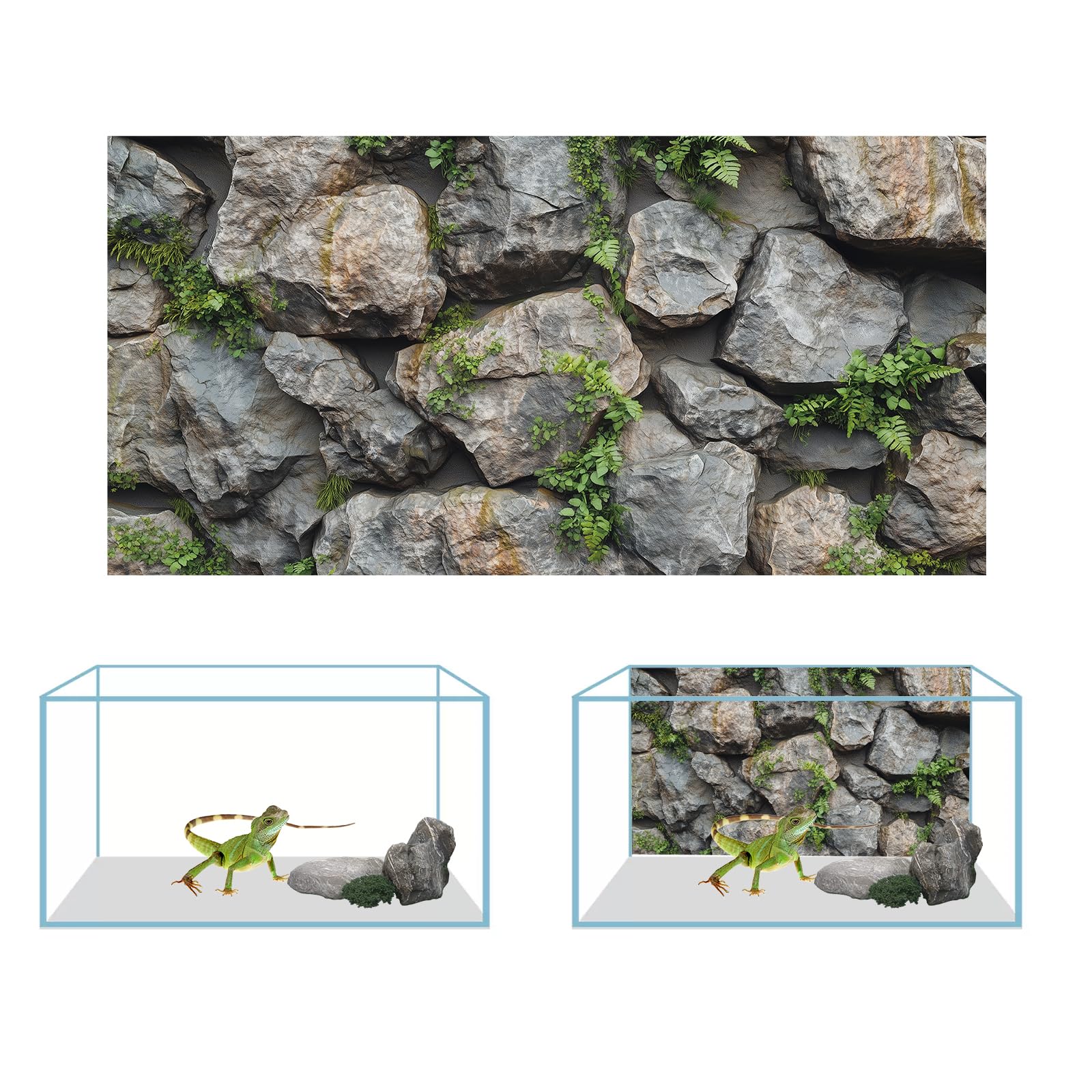 COMSUN fondo para terrario con cactus desérticos, aporta ambiente temático.